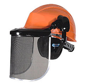 forestry helmet