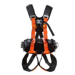 full-body harness