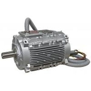 smoke and heat exhaust ventilation system motor