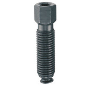 screw with hexagonal head