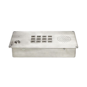 IP telephone