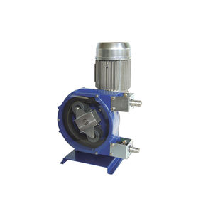 peristaltic pump 1