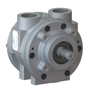 vane air motor 1