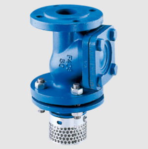 disc check valve 1