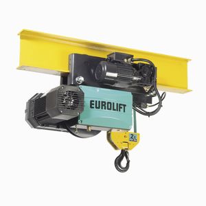 electric belt hoist