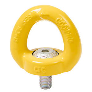 screw-in hoist ring
