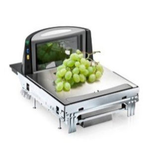 scale weighing module