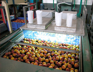 UV disinfection unit