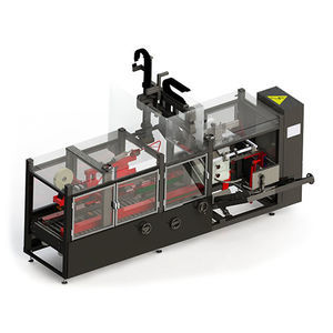 horizontal case packer