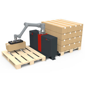 robotic palletizer 1
