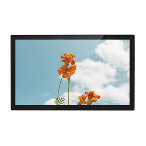 LCD monitor 1
