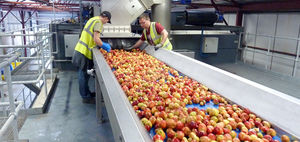 sorting table
