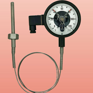 probe thermometer