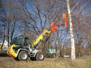 telehandler branch cutter head