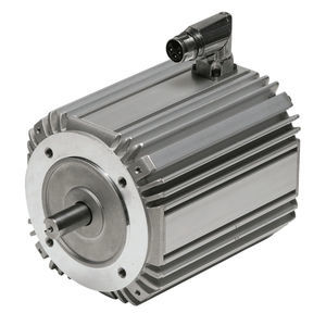 permanent magnet motor
