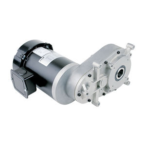 空心轴齿轮马达