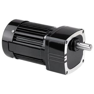 AC gear-motor