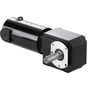 DC gear-motor