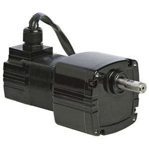 BLDC gear-motor