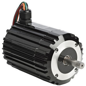 brushless motor