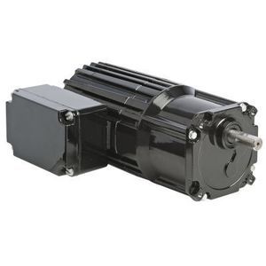 AC gear-motor 1