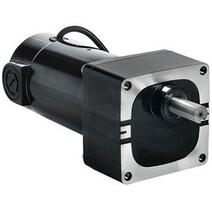 DC gear-motor