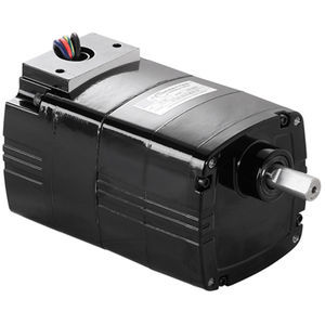 AC gear-motor