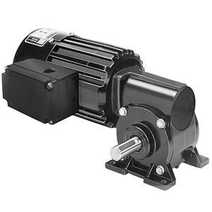 AC gear-motor