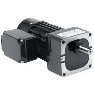 AC gear-motor 1