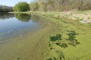 biological sewage treatment plant