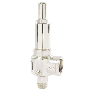 safety valve 1
