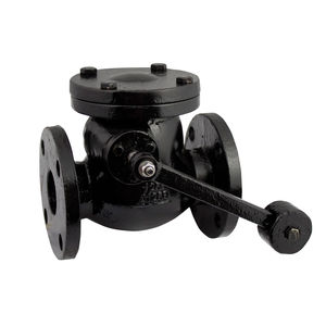 swing check valve 1