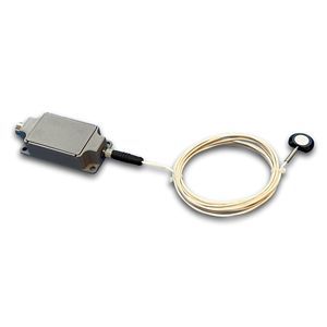 RTD temperature sensor 1