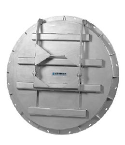 swing check valve