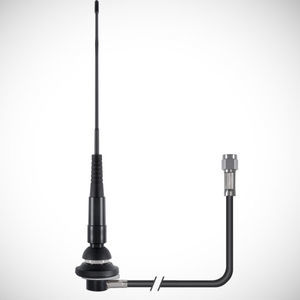 IP antenna 1
