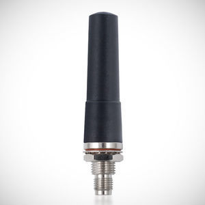 IP antenna 1