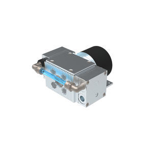 diaphragm pump 1