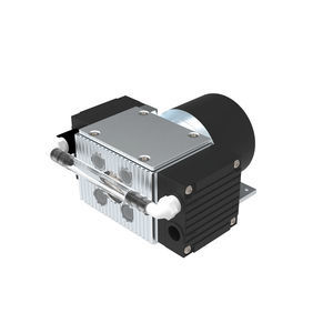diaphragm pump 1