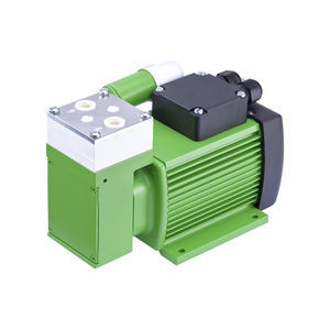 diaphragm pump 1