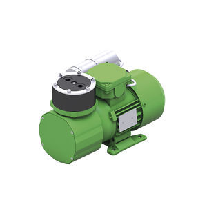 diaphragm pump 1