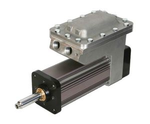 Electric servo-cylinder - GSX series - EXLAR - roller screw linear