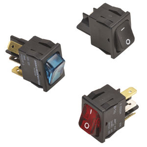 rocker switch
