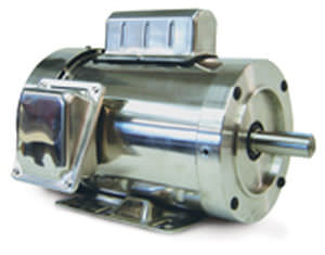 brushed motor