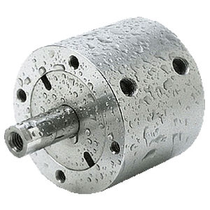 pneumatic cylinder 1