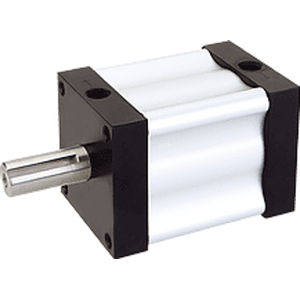 electric valve actuator / rotary