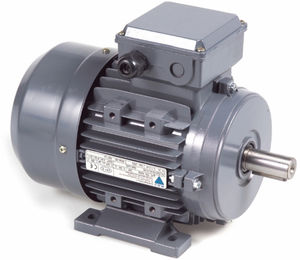 AC motor