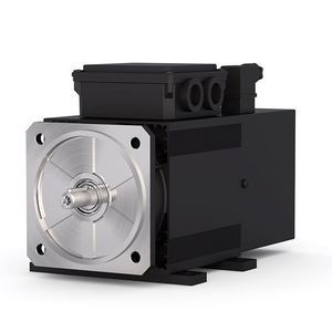 AC motor 1
