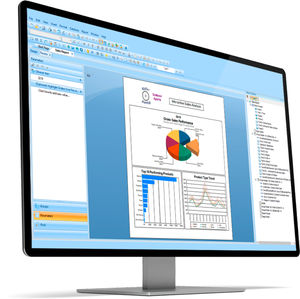 reporting software