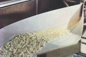 belt press for the food industry