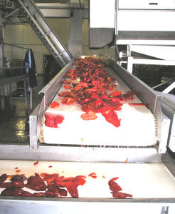 belt conveyor